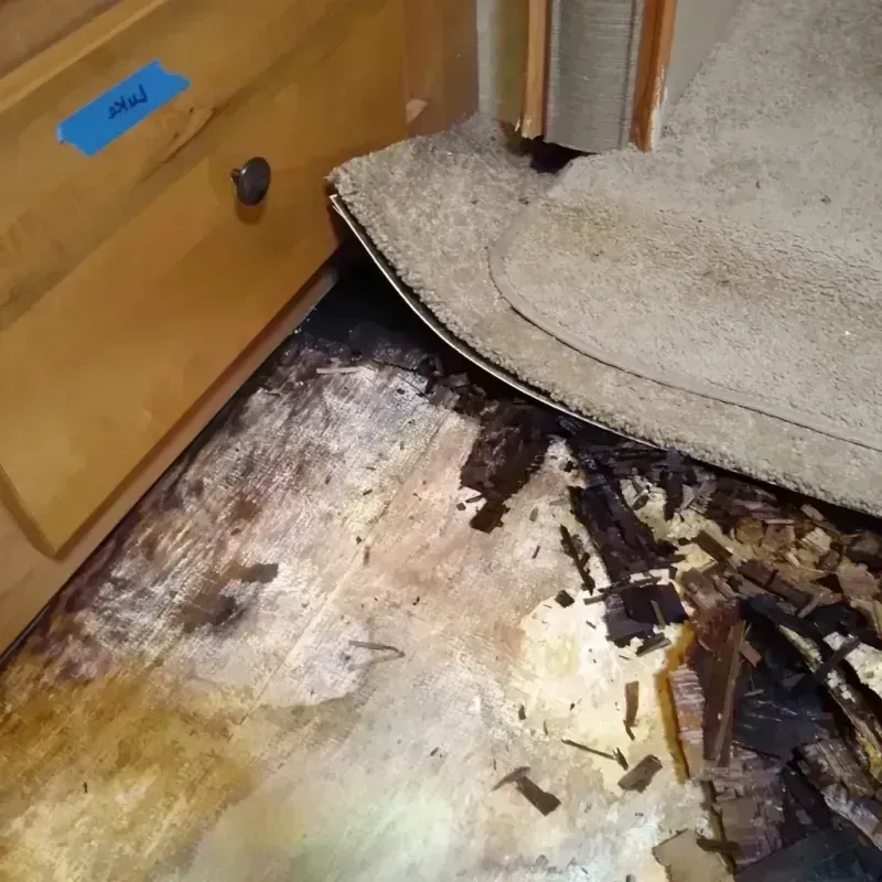 Wood Floor Water Damage in Sebring, FL